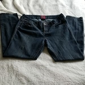 EUC Torrid Straight Leg Jeans